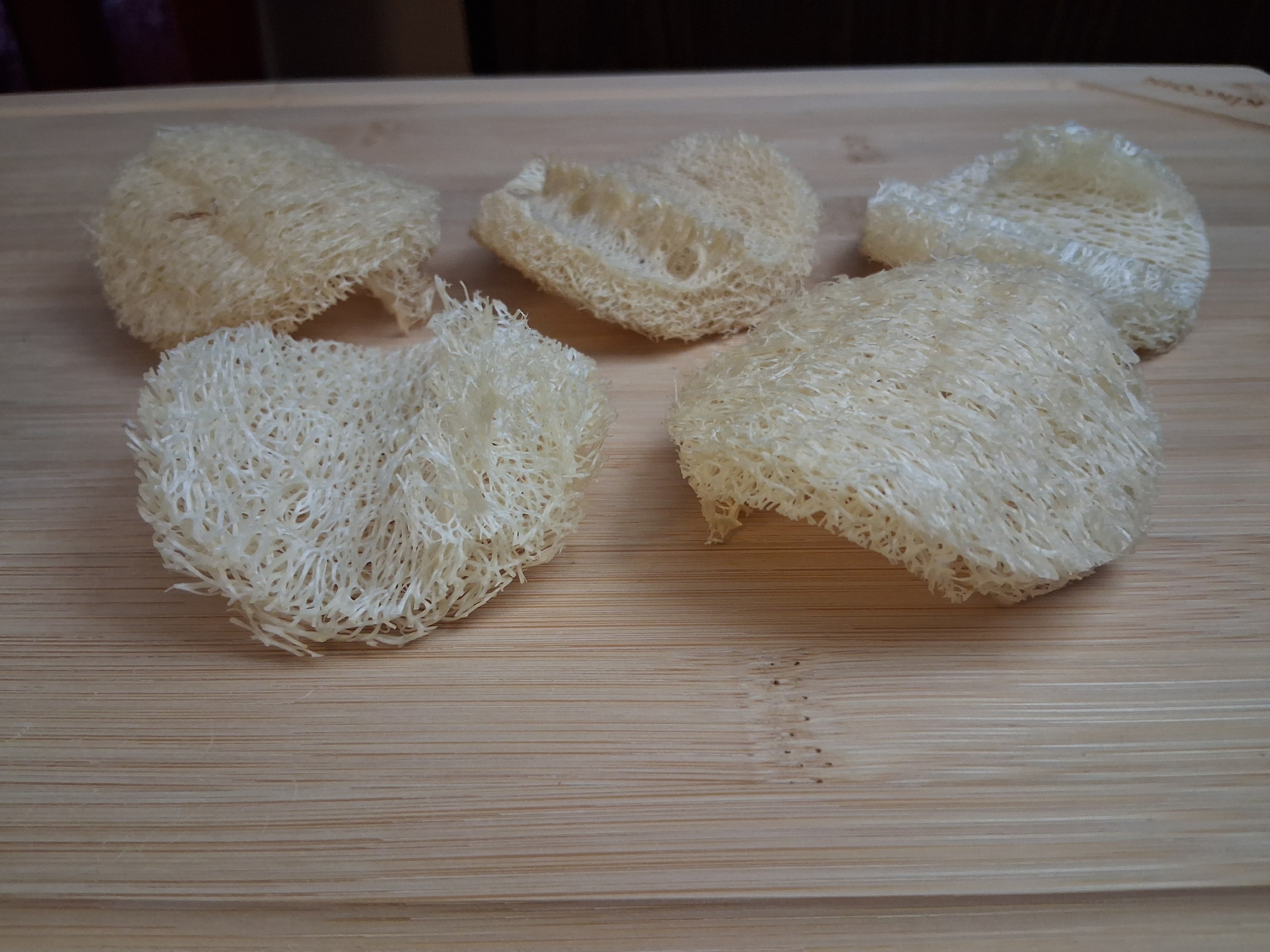5 Pack of Natural Loofah Pads