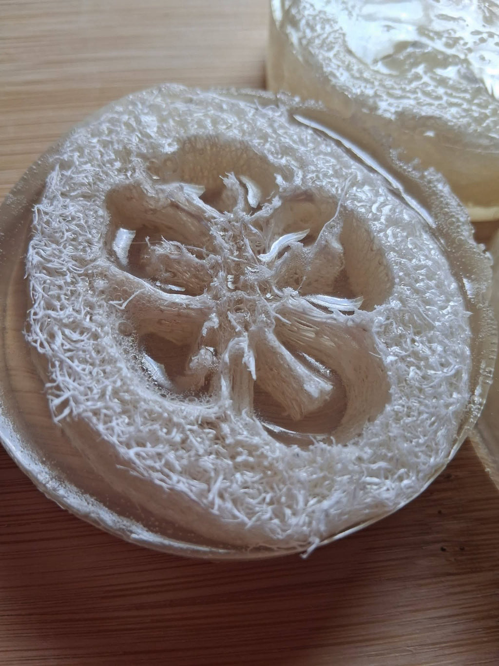 Loofah Bars