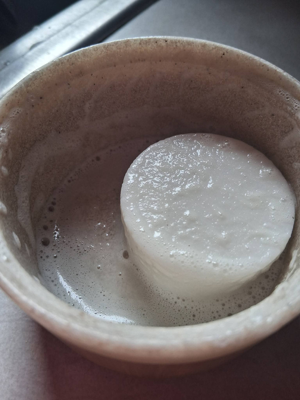 Solid Goat Milk Dish Soap