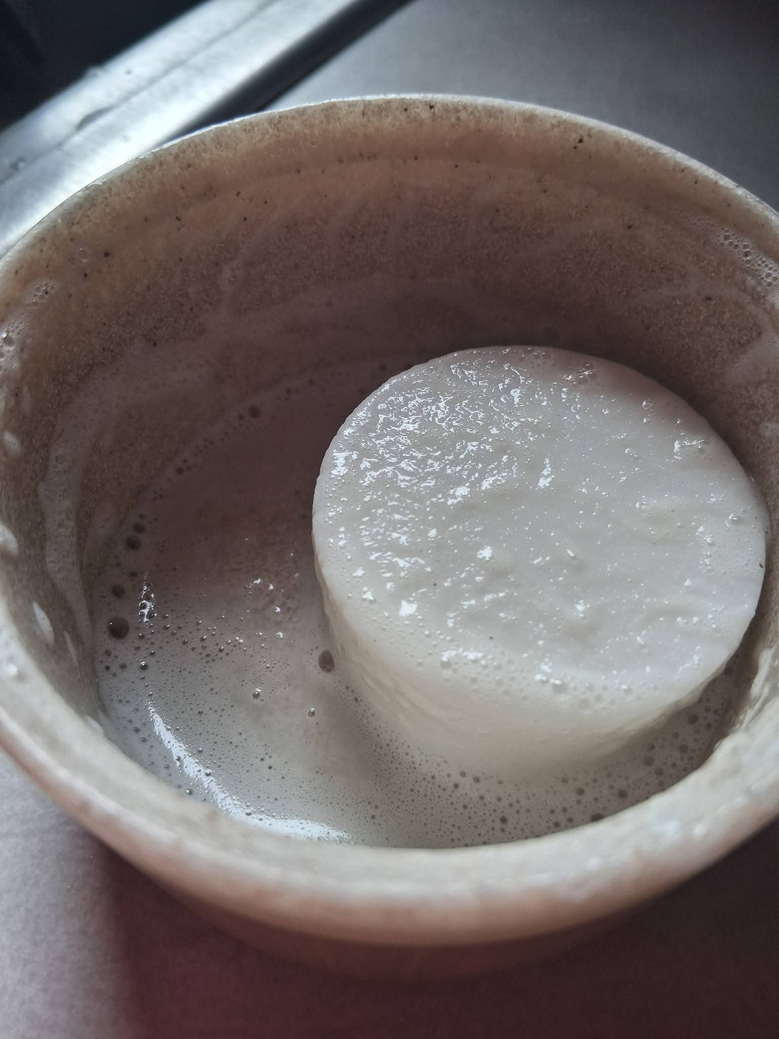 Solid Goat Milk Dish Soap